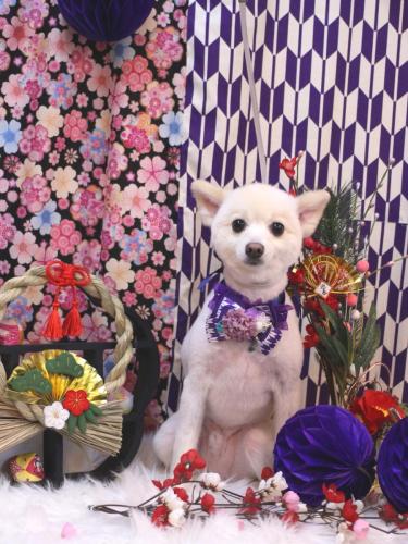 20250111しゅんくん